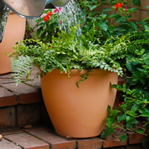 Worth Garden 2-Pack 15" Dia. Round Planters - Large Plastic Plant Pots with Drainage Hole for Indoor & Outdoor Use- Lightweight Decorative Flower Tree Containers for Porch, Patio, Yard, or Deck