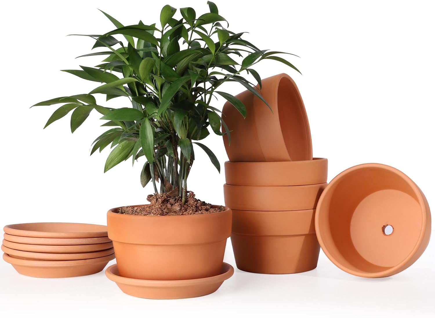 INGOFIN Terracotta Pot with Saucer - 10 Inch Ceramic Clay Pot for Plants with Drainage Hole, Large Terra Cotta Flower Planter with Tray for Indoor Outdoor Plants