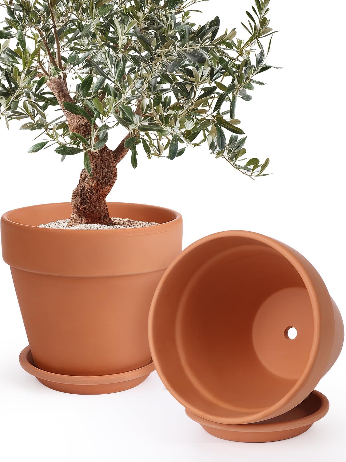 INGOFIN Terracotta Pot with Saucer - 10 Inch Ceramic Clay Pot for Plants with Drainage Hole, Large Terra Cotta Flower Planter with Tray for Indoor Outdoor Plants