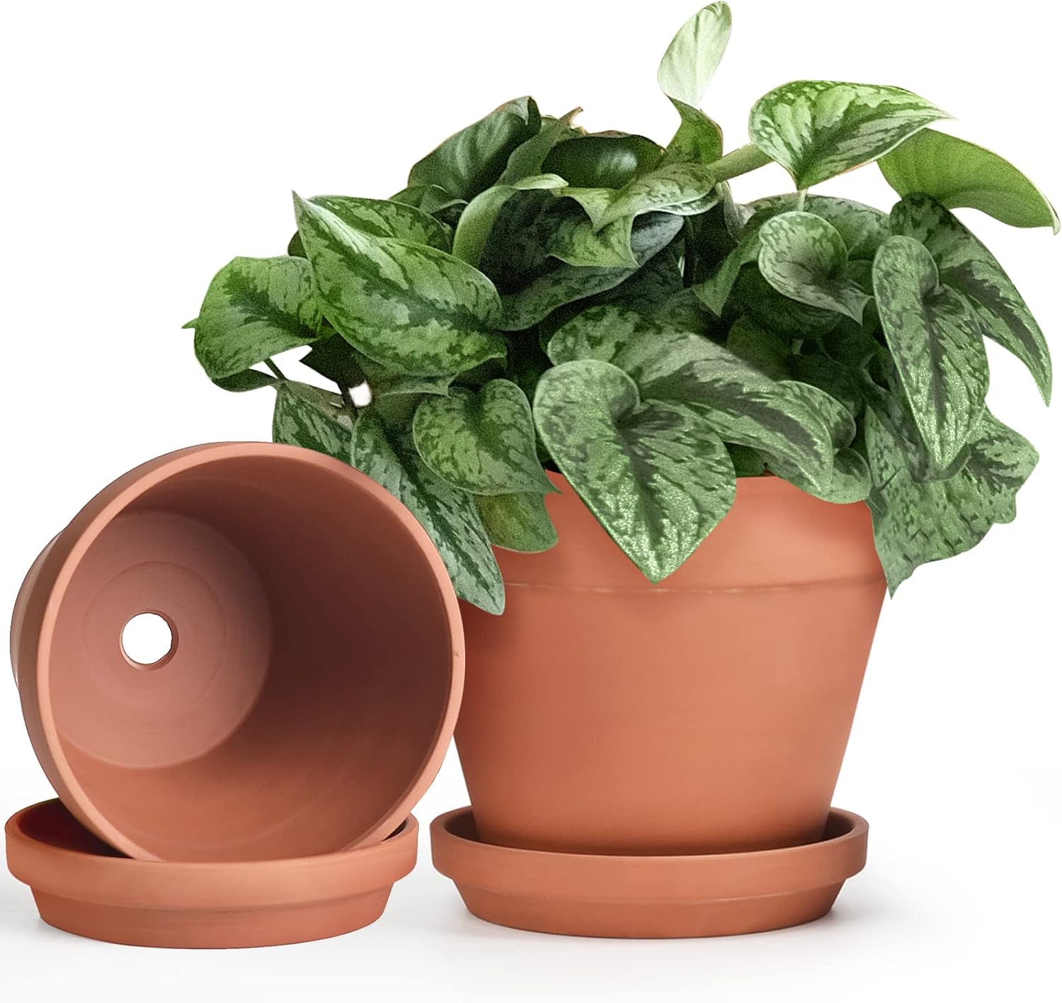 INGOFIN Terracotta Pot with Saucer - 10 Inch Ceramic Clay Pot for Plants with Drainage Hole, Large Terra Cotta Flower Planter with Tray for Indoor Outdoor Plants