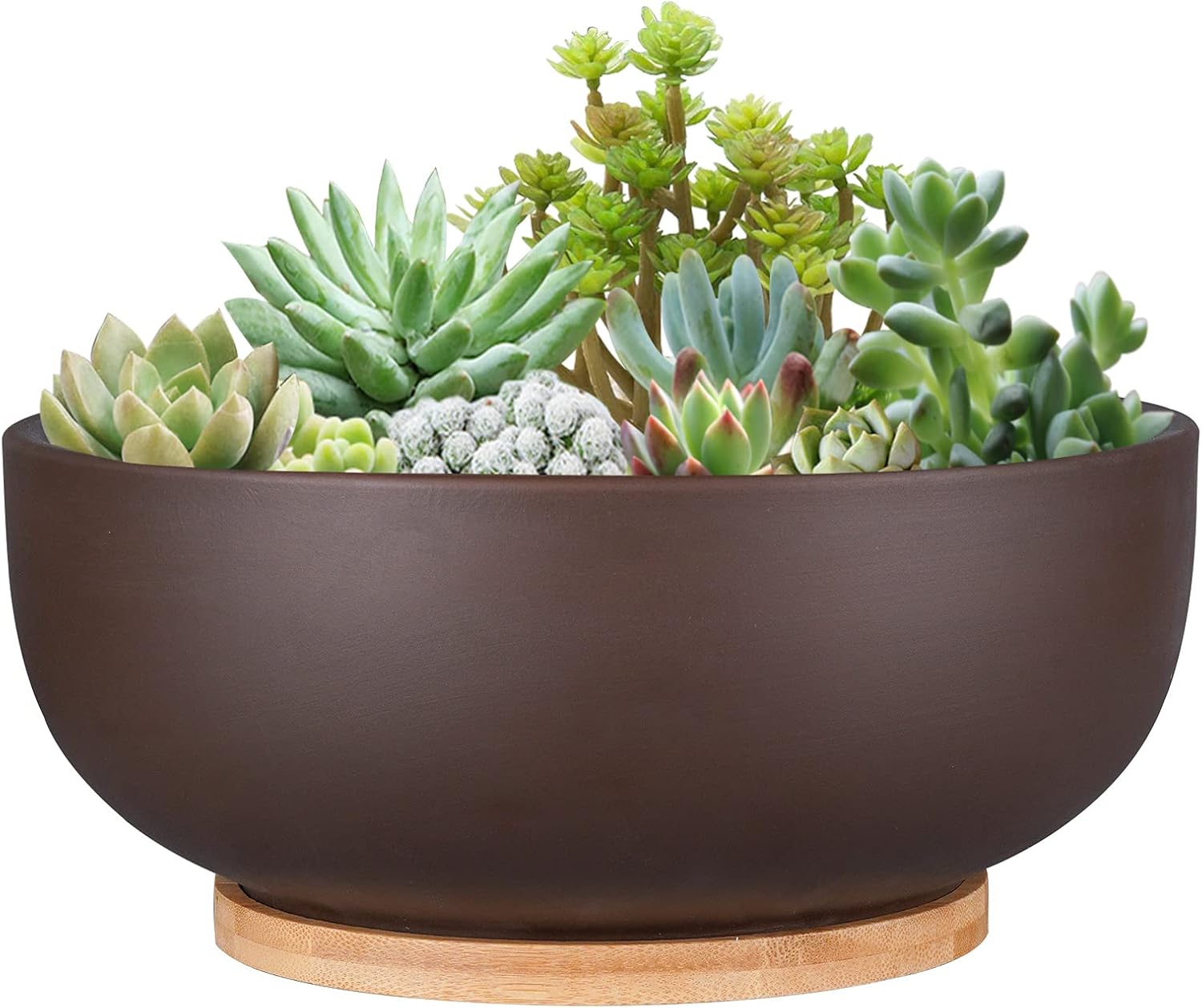 Thirtypot 10 Inch Terracotta Planter, Large Succulent Bonsai Planter Pot with Drainage Hole and Bamboo Saucer for Indoor Plants, Brown