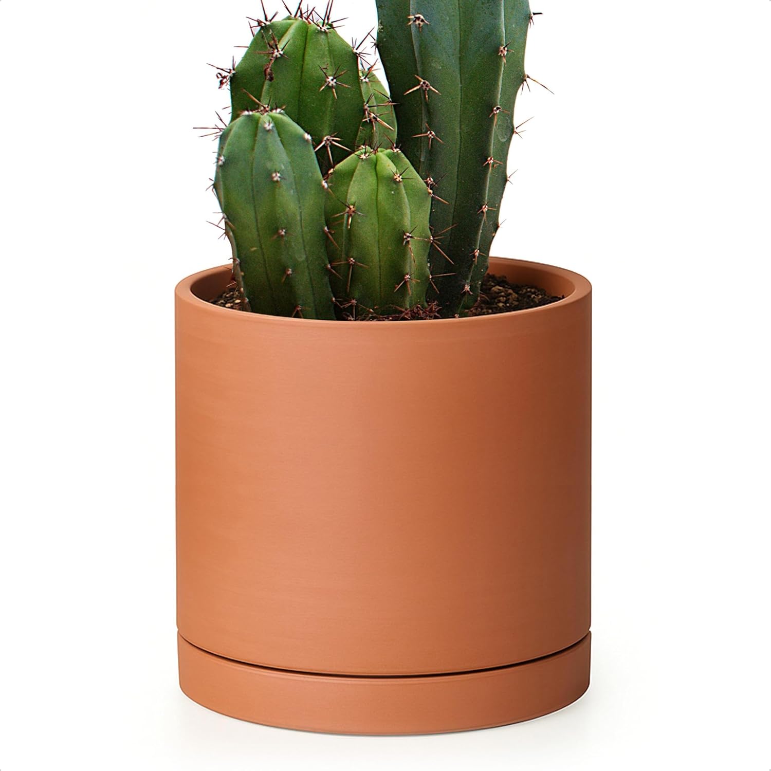 D'vine Dev Medium 8 Inch Terracotta Plant Pot with Drainage Hole and Saucer, Round Cylinder Planter Pot for Indoor Plants, 40-X-A-4