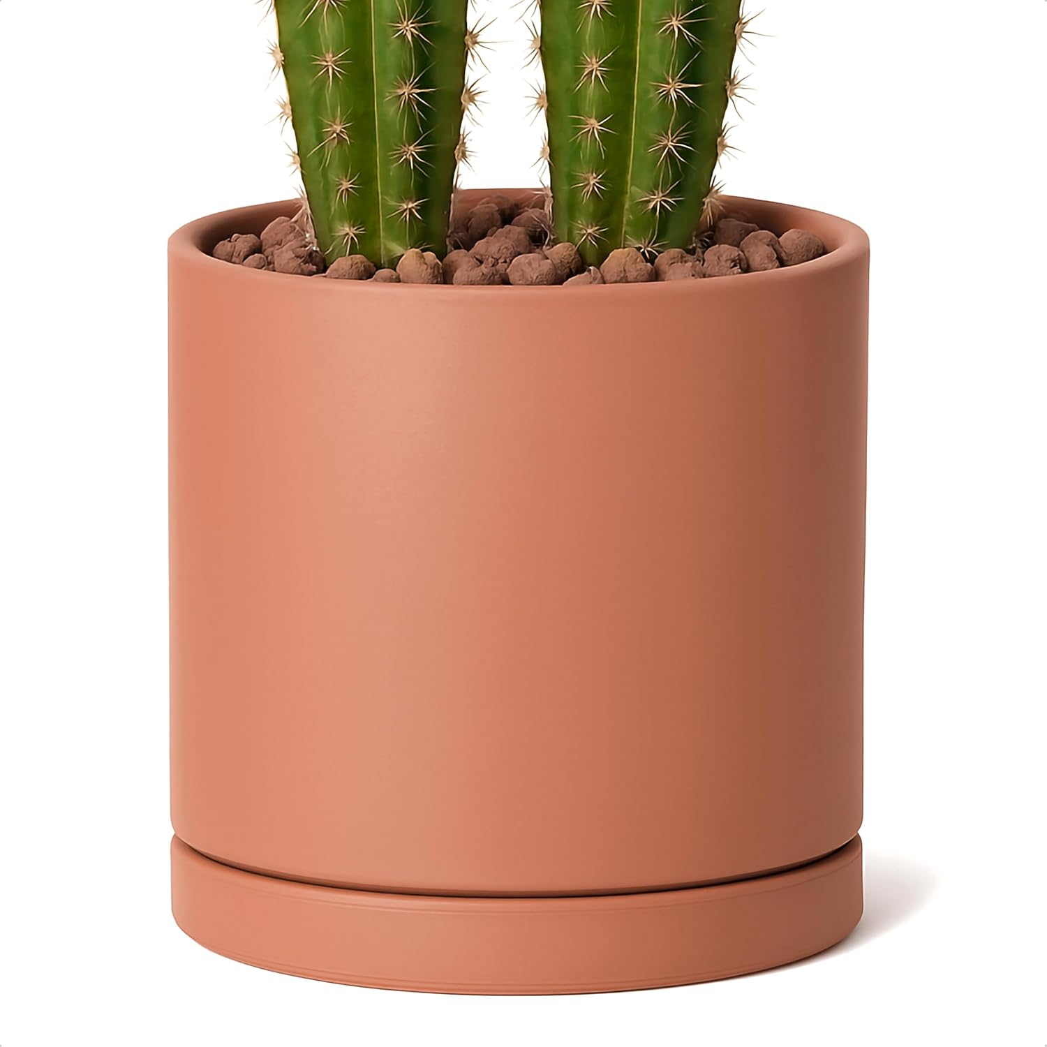 D'vine Dev Medium 8 Inch Terracotta Plant Pot with Drainage Hole and Saucer, Round Cylinder Planter Pot for Indoor Plants, 40-X-A-4