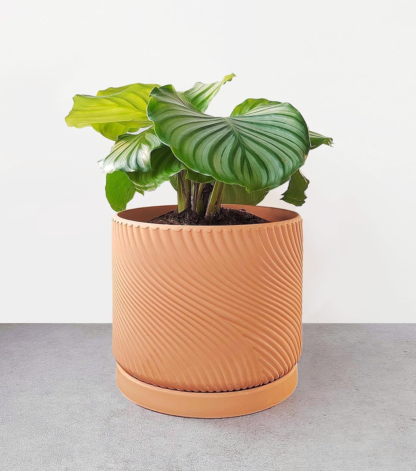 Wavy Studio 7" Unglazed Terracotta Planter with Drainage Hole & Saucer, Modern Minimalist Plant Pot for Home & Garden