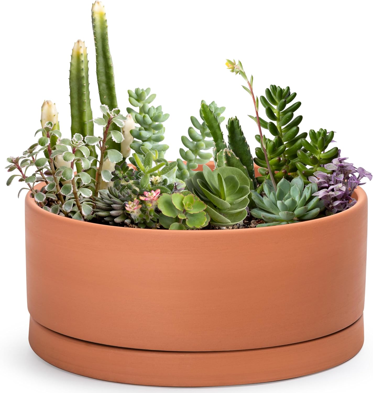 D'vine Dev 10 Inch Succulent Terracotta Shallow Pot with Drainage Hole and Saucer, Round Cylinder Planter Pot for Plant Flower, 40-Y-B-0