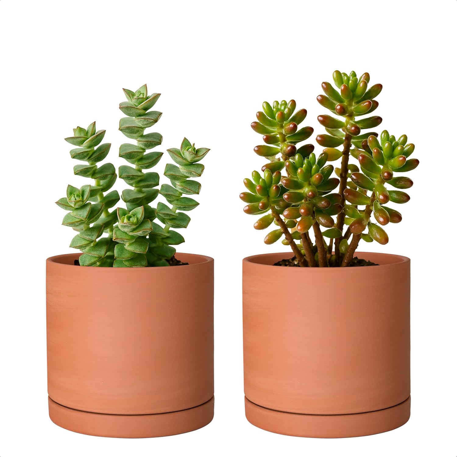 D'vine Dev Medium 8 Inch Terracotta Plant Pot with Drainage Hole and Saucer, Round Cylinder Planter Pot for Indoor Plants, 40-X-A-4