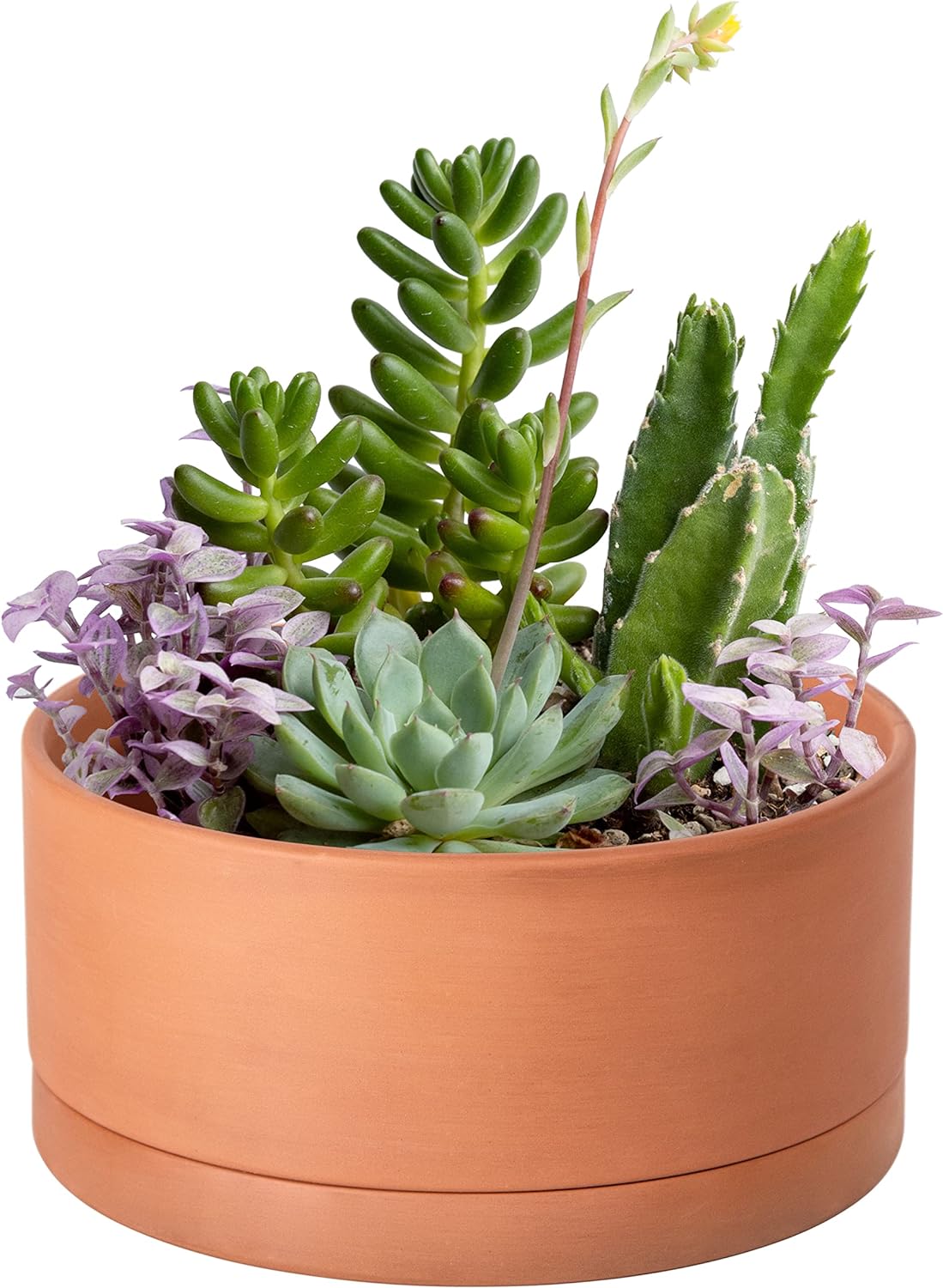 D'vine Dev 10 Inch Succulent Terracotta Shallow Pot with Drainage Hole and Saucer, Round Cylinder Planter Pot for Plant Flower, 40-Y-B-0
