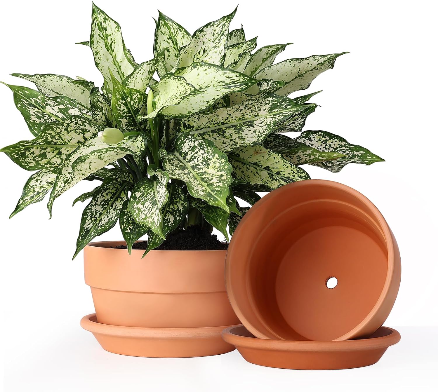 INGOFIN Terracotta Pot with Saucer - 10 Inch Ceramic Clay Pot for Plants with Drainage Hole, Large Terra Cotta Flower Planter with Tray for Indoor Outdoor Plants